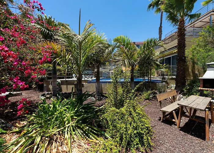 Jardines Del Cura * Playa Del Cura (Gran Canaria)